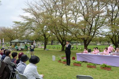 さくらそう祭り