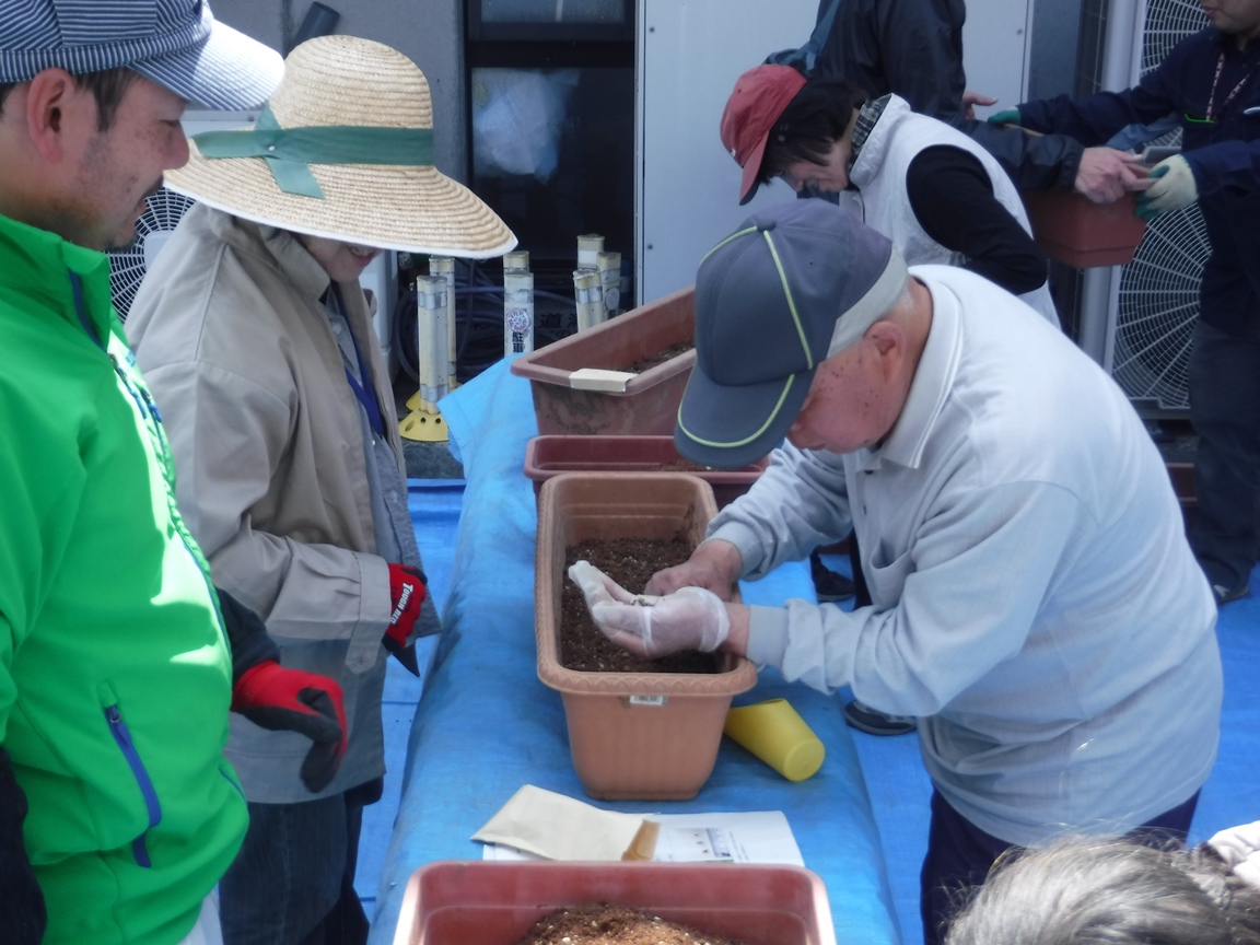 野草園4月の活動写真