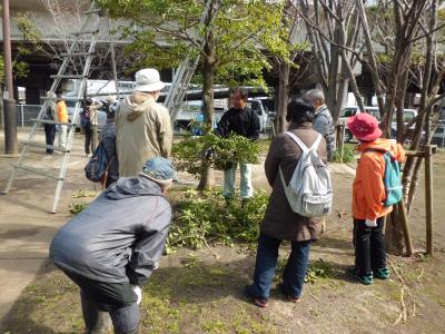 剪定講習会写真