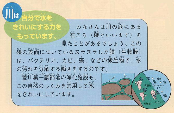 水質浄化についての図