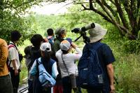 シジュウカラの巣箱前の画像
