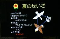 夏のせいざ