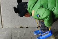 ハチの巣の跡
