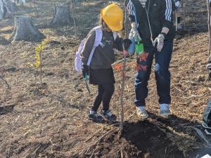 市民による植樹の様子