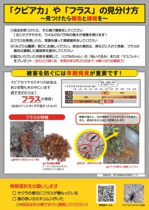 kubiakachirashi2