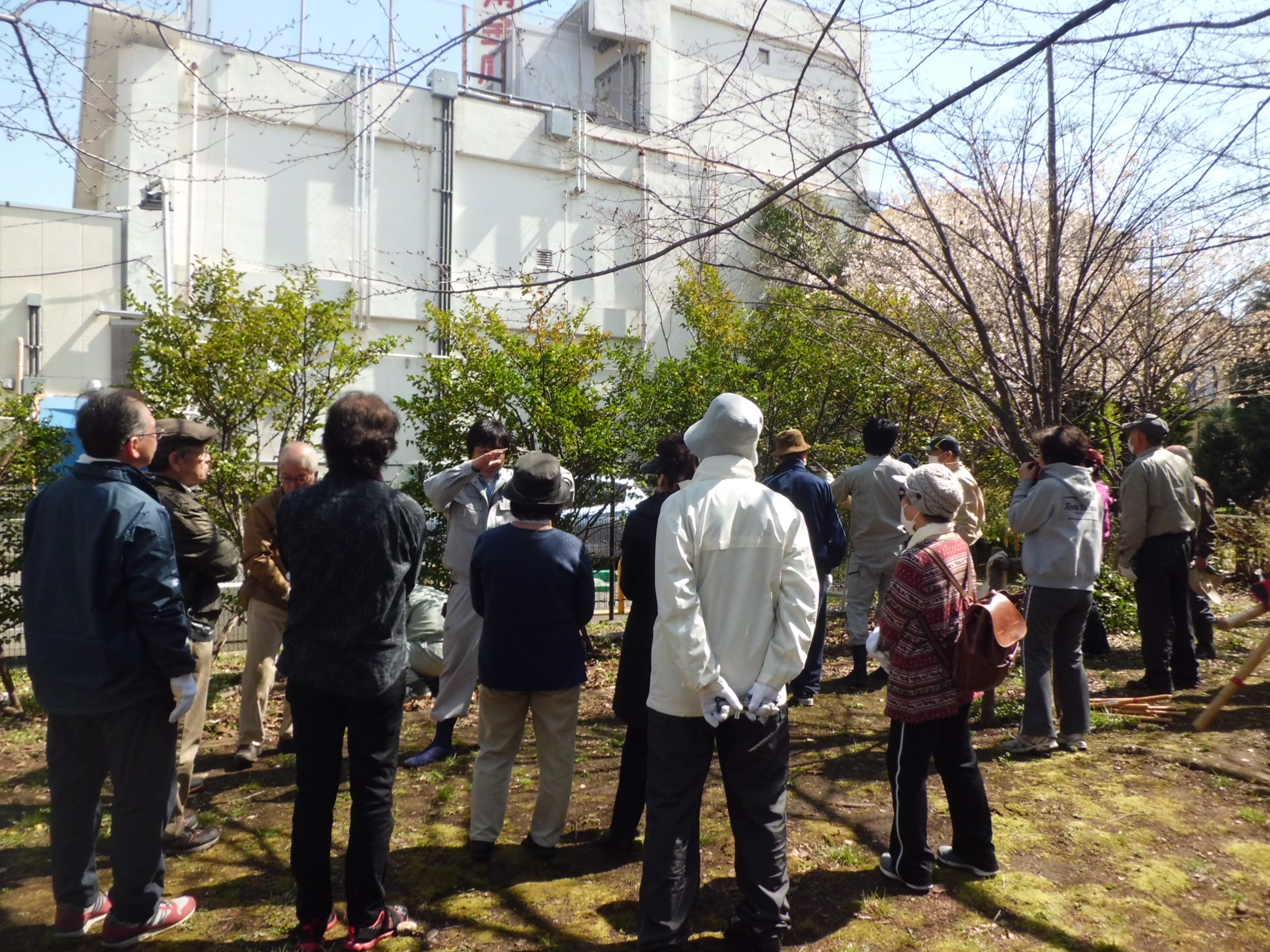 樹木剪定技術講習会の写真