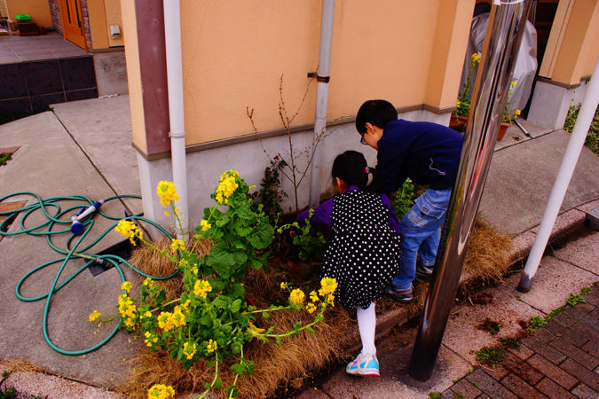 植樹する子供たちの写真