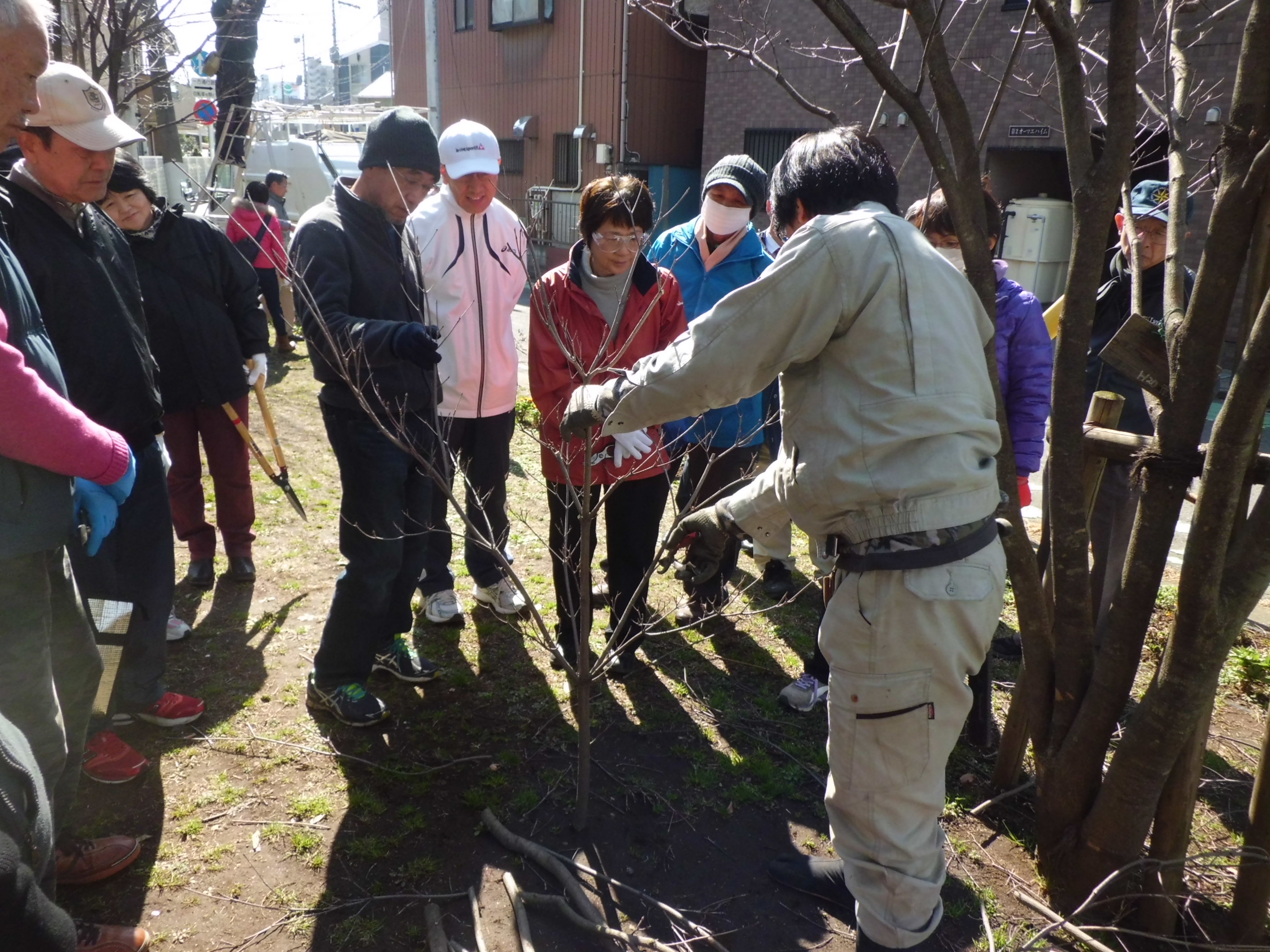 樹木剪定技術講習会活動写真